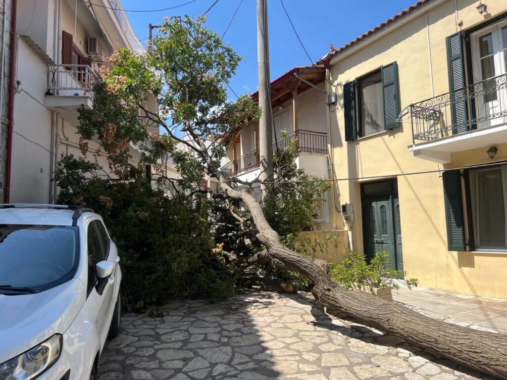 Μια θλιβερή απώλεια για τη γειτονιά της Κάτω Πλατείας του Διστόμου 1 2641