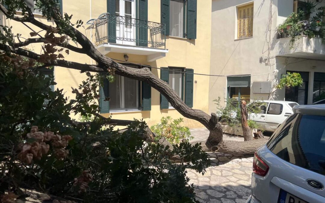 Μια θλιβερή απώλεια για τη γειτονιά της Κάτω Πλατείας του Διστόμου