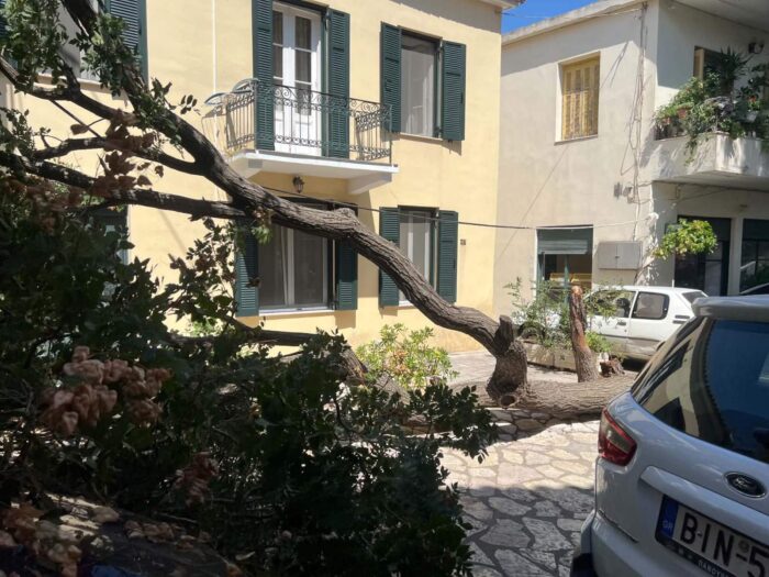 Μια θλιβερή απώλεια για τη γειτονιά της Κάτω Πλατείας του Διστόμου Μια θλιβερή απώλεια για τη γειτονιά της Κάτω Πλατείας του Διστόμου