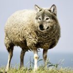 Τεχνητή Νοημοσύνη: Μύθος και Κίνδυνος 7 Τεχνητή Νοημοσύνη: Μύθος και Κίνδυνος