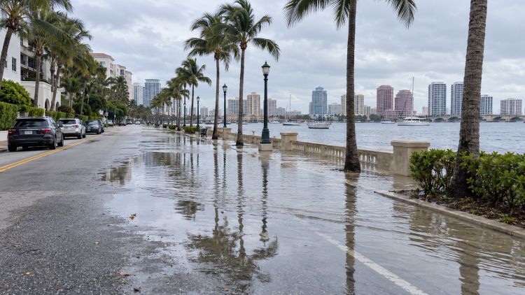 king tides king tides